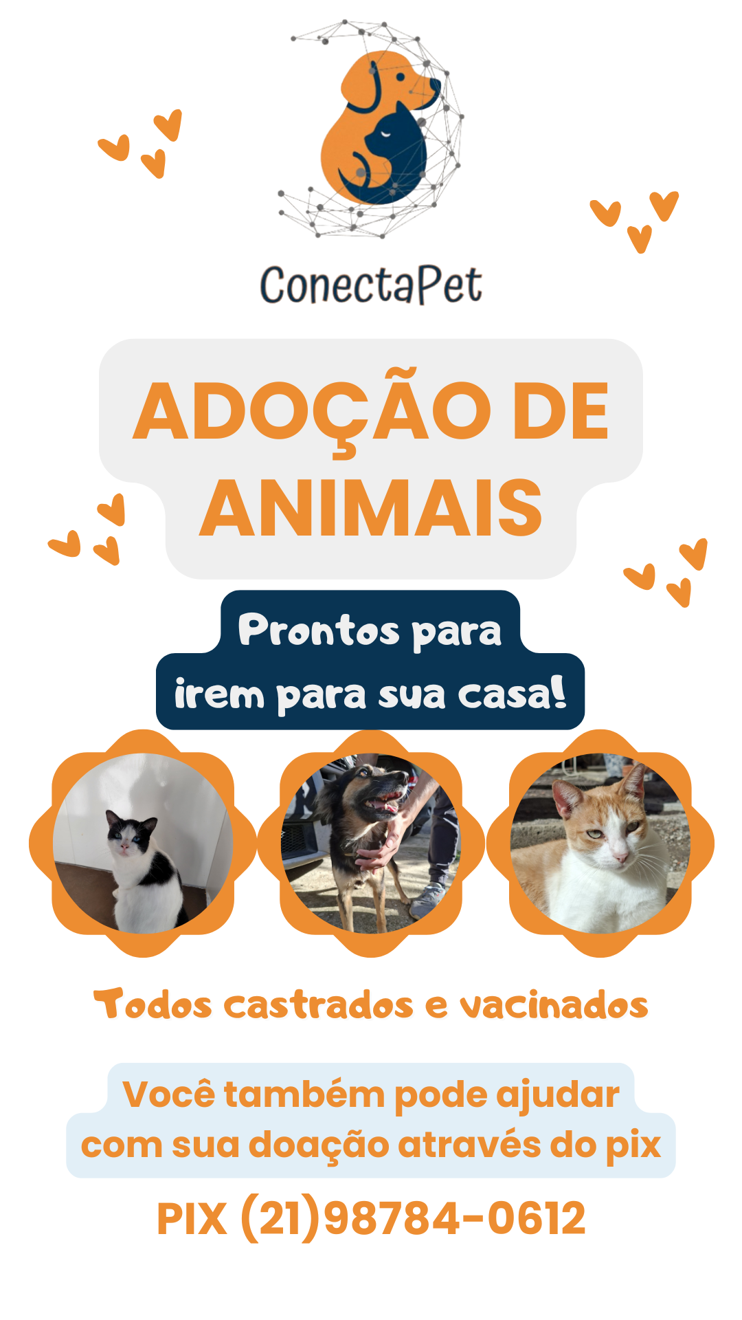 Banner de divulgação